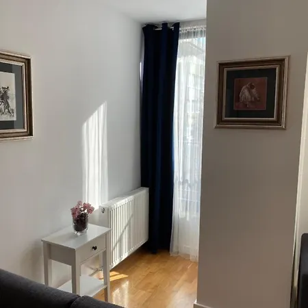 Apartment Strada Smaranda Braescu