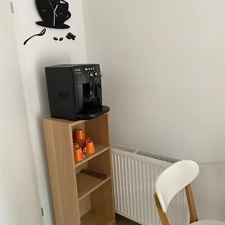 Apartment Strada Smaranda Braescu