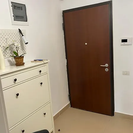 Strada Smaranda Braescu Apartment *