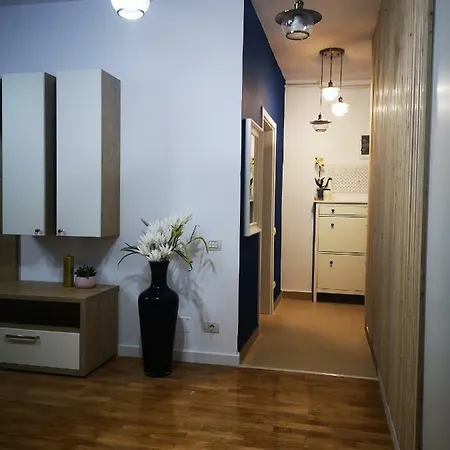 Strada Smaranda Braescu Apartment *