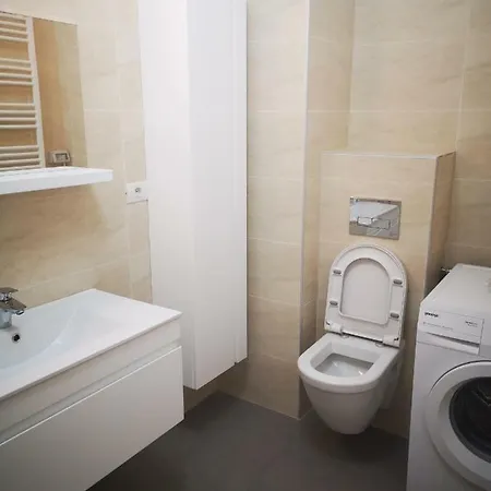 Strada Smaranda Braescu Apartment